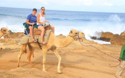 Bricole Reincke is Blogging Again! Saddle Up for an Unforgettable Camel Ride Adventure in Cabo